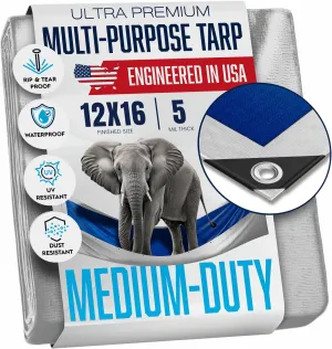 12x16 Tarp, Waterproof Plastic Poly 5.5 Mil Thick Tarpaulin with Metal Grommets Every 18 Inches - Emergency Rain Shelter, Outdoor Cover and Camping Use - (Reversible, Blue and Silver) (12x 16 Feet)