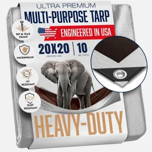 20x20 Heavy Duty Tarp, 10 Mil Thick, Waterproof, Tear & Fade Resistant, High Durability, UV Treated, Grommets Every 18 Inches. (Silver/Brown - Reversible) (20 x 20 Feet)