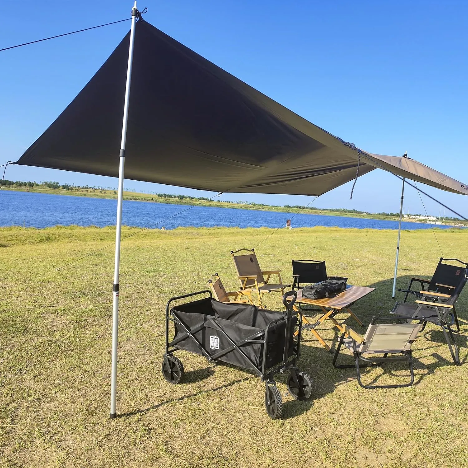 98.42'' Aluminum Camping Tarp Poles Adjustable,Telescoping & Portable Tent Poles Replacement (4 Pack), it Comes with 8 Metal Stake, 8 Guy Line Cord with Guyline Adjuster & 1 Storage Bag