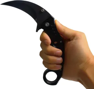 Andux Karambit Liner Lock with Pocket Clip Claw Knife Tactical Survival EDC WD02 (Black)