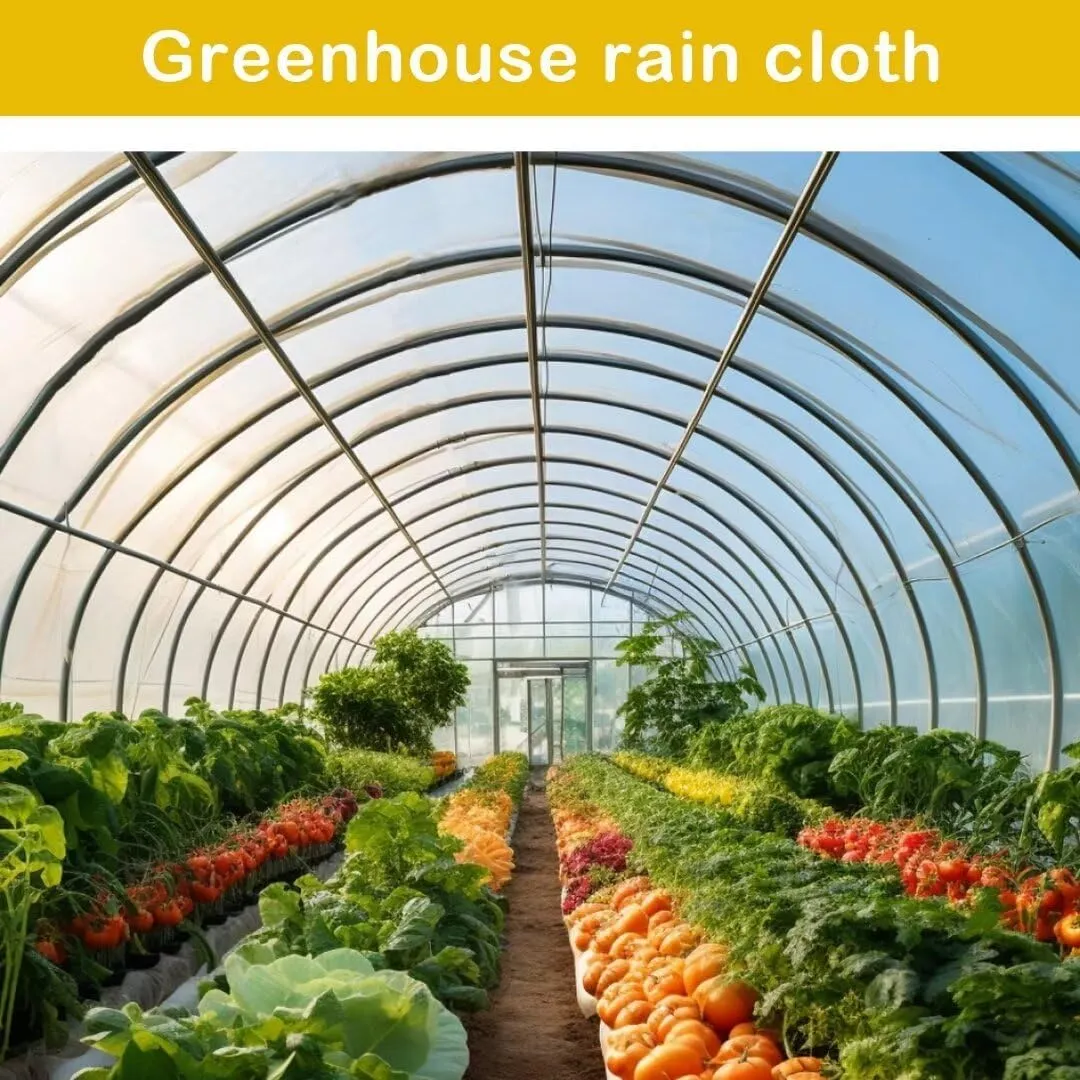 Clear Tarp with Grommets, 8x10ft Waterproof Tarp Transparent for Outdoors Anti-Tear for Covering Firewood Piles Patio Furniture Dog or Chicken Coops