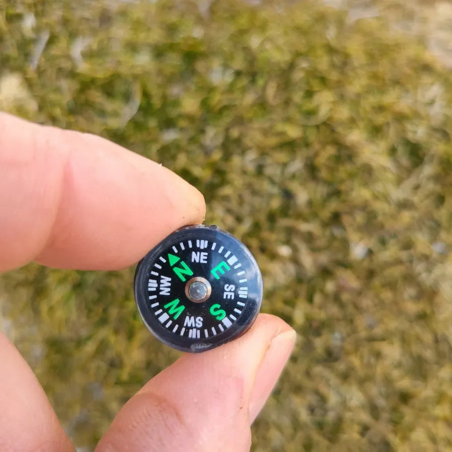 COMPASSES (choose variant)
