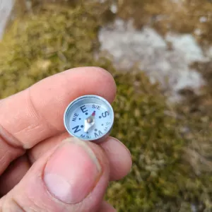 COMPASSES (choose variant)