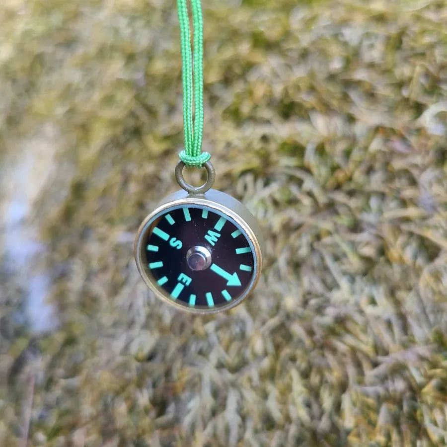 COMPASSES (choose variant)