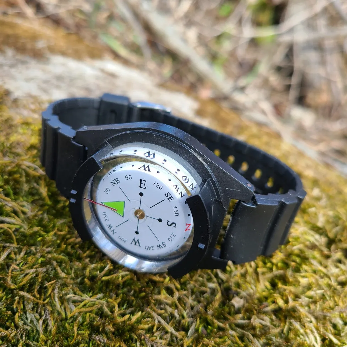 COMPASSES (choose variant)