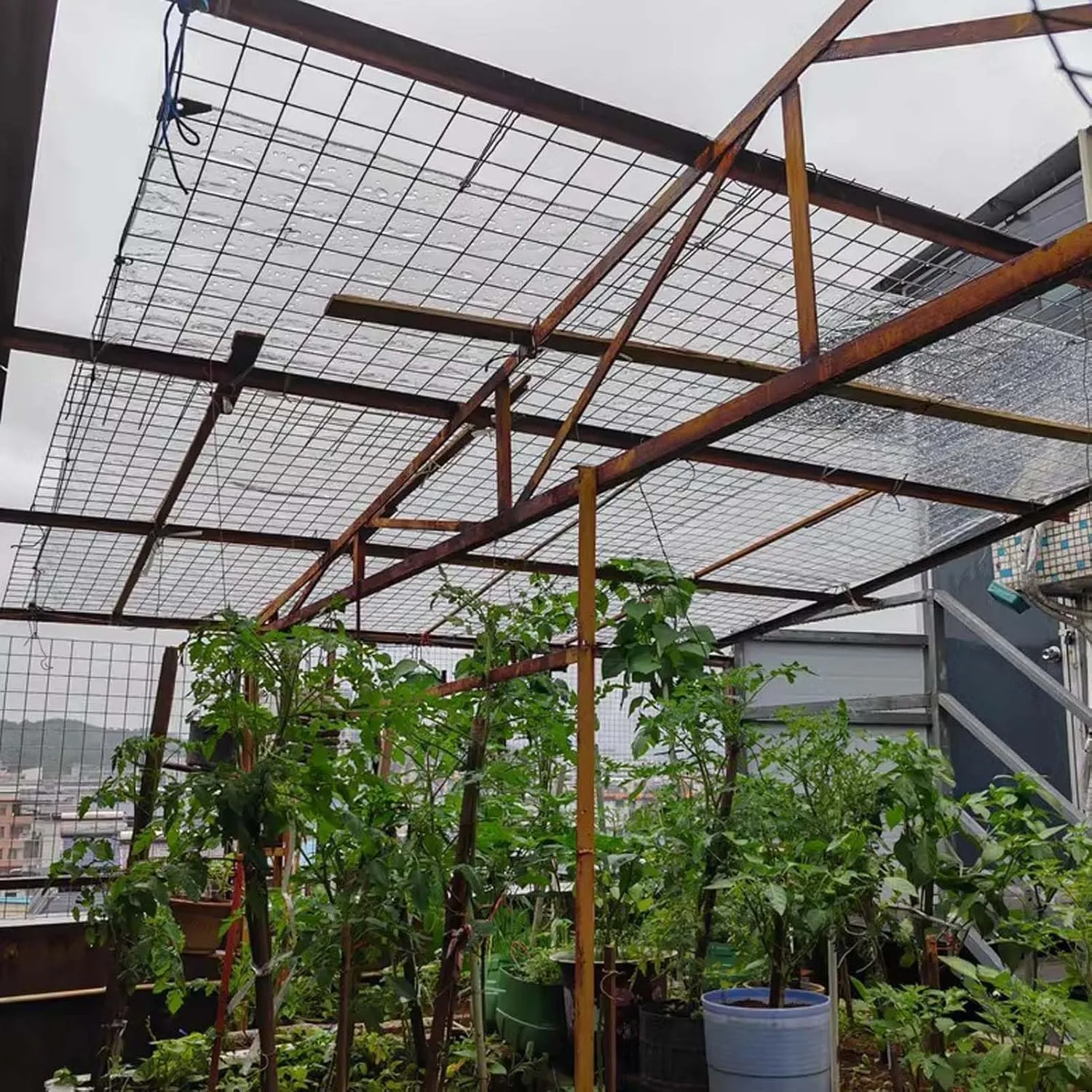 Heavy Duty Waterproof PVC Clear Tarps 4.9x5.9ft, Thick Transparent Tarpaulin with Grommets, PVC Plastic Tarp Dustproof, for Greenhouse Patio Chicken