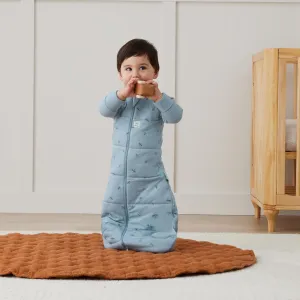 Jersey Sleeping Bag Sleeved, 2.5 tog, Dragonflies, 8-24 months