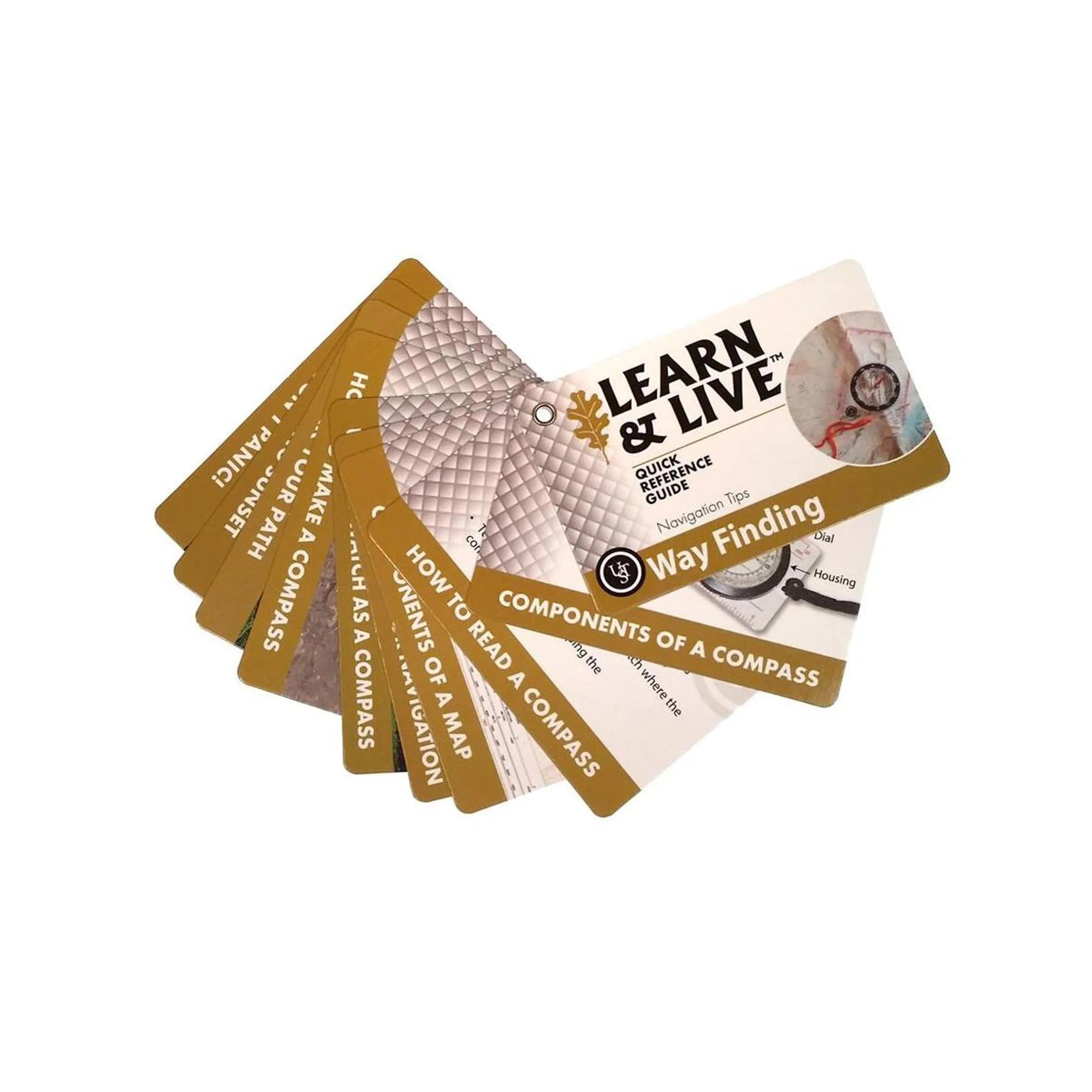 Learn And Live Cards - Way Finding