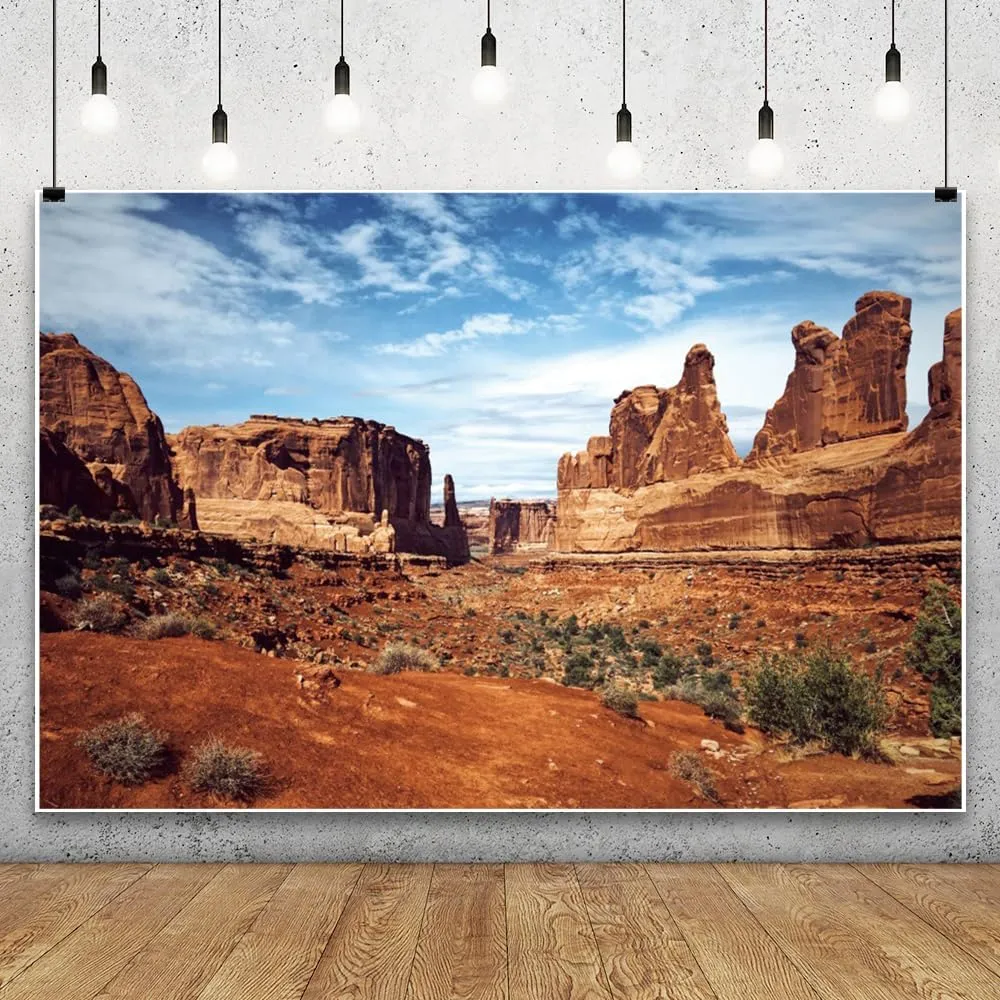Leowefowa 10x8ft Desert Mountain Photography Backdrop Nature Scenery Canyon Background Blue Sky Cactues Wilderness Mountain Hiking Outdoor Camping Party Banner Decor Studio Prop
