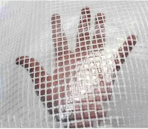 Outdoor Waterproof Heavy Duty Tarpaulin,Lightweight Clear Tarp Pe Grid Windproof Curtain Garden Niture Cover Outdoor Fishing Camping Ground Cover,a,1X 2M