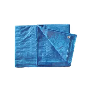Poly Tarp - Blue - 16-Foot x 20-Foot