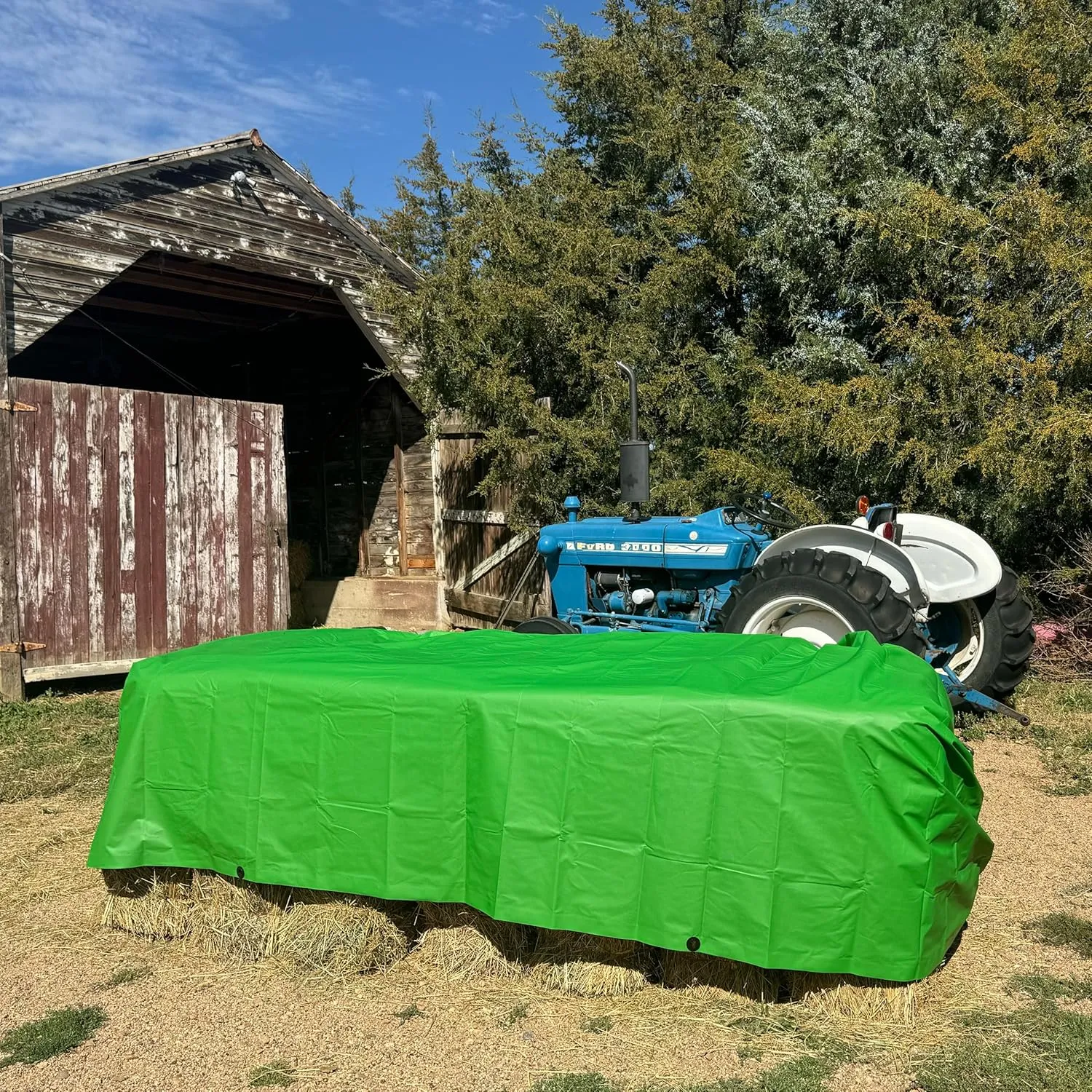 RENEGADE Industrial Strength Tarp | 10’ x 10’ | PFAS & PVC Free | Rip, Tear, UV & Waterproof | Ultra Tough Weather Protective Cover | Construction Agriculture Home Garden Patio Camping Boat Outdoor