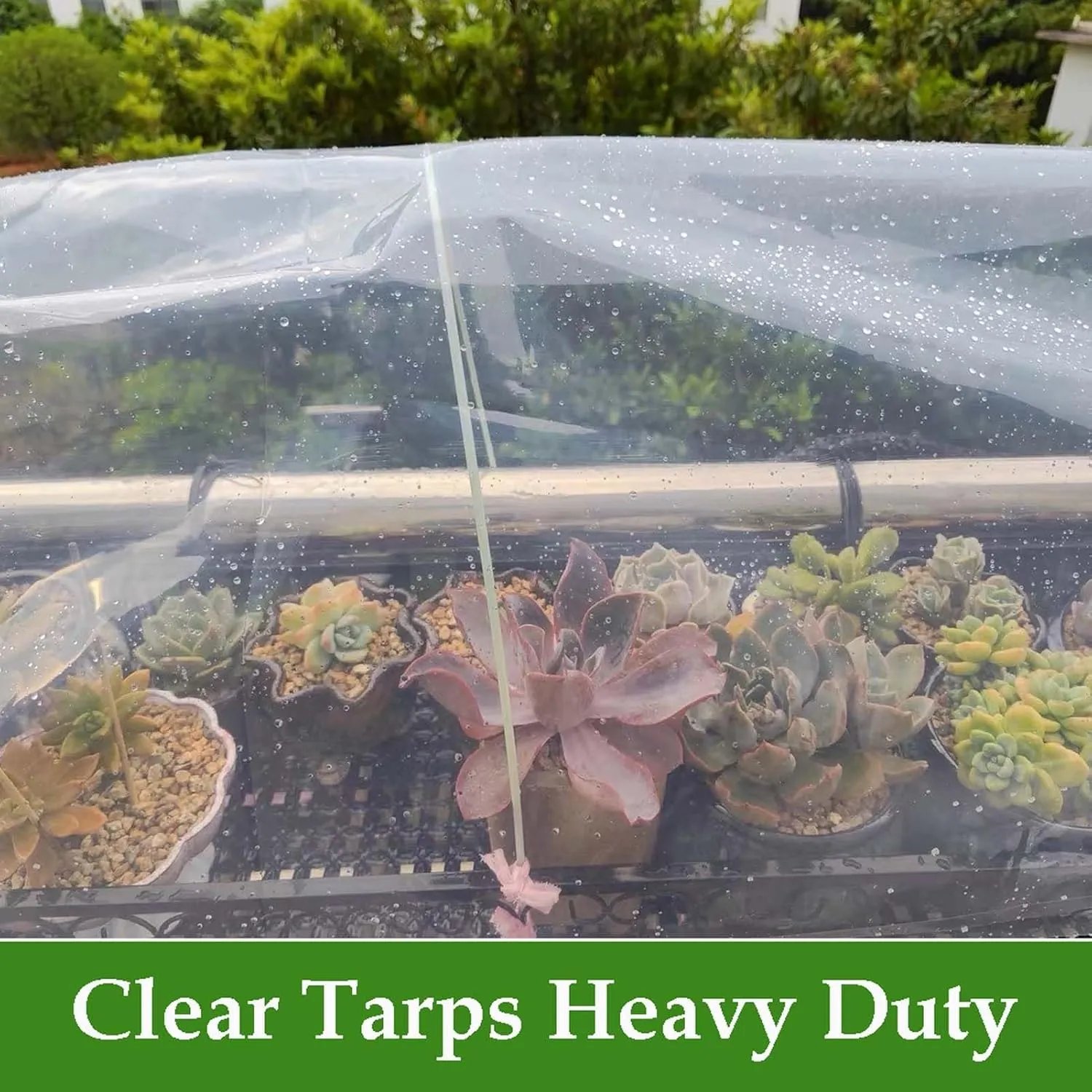 Small Multipurpose Cover, Transparent with Grommets, PVC Tarp Cover Tear Resistance, Windproof Outdoor Curtain, for Canopy Patio Garden Pergola(3x8m)