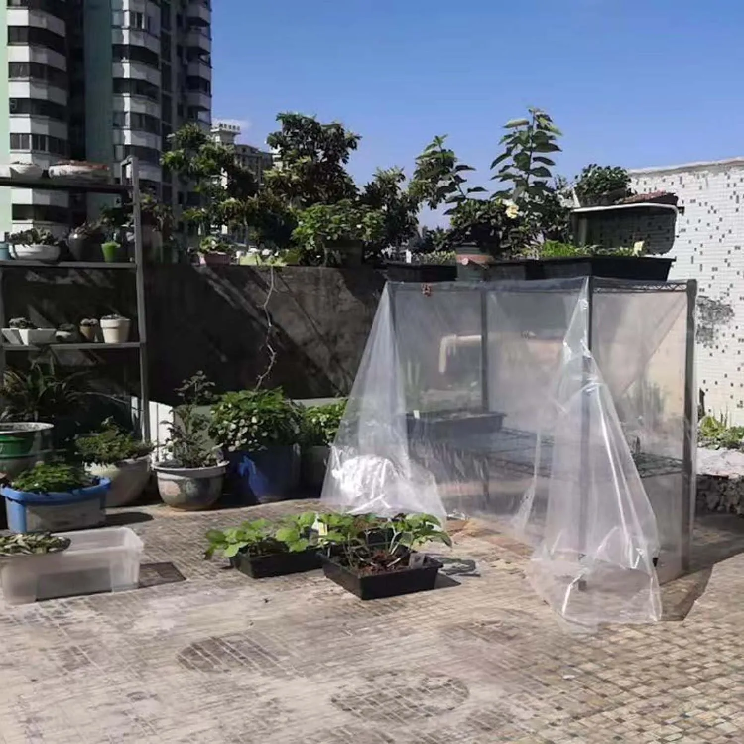 Small Multipurpose Cover, Transparent with Grommets, PVC Tarp Cover Tear Resistance, Windproof Outdoor Curtain, for Canopy Patio Garden Pergola(3x8m)
