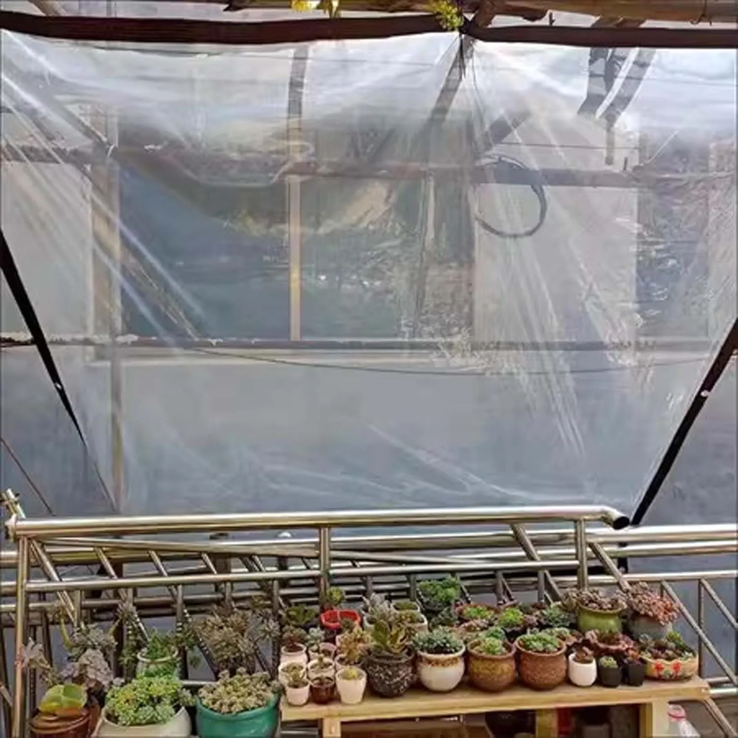 SRHIMEOS Clear Tarps Heavy Duty Waterproof 6.6x6.6ft, Transparent Tarpaulin with Grommets, PE Tarp Cover Tear Resistance, Windproof Plastic Tarp, for Covering Garden Plant Outdoor