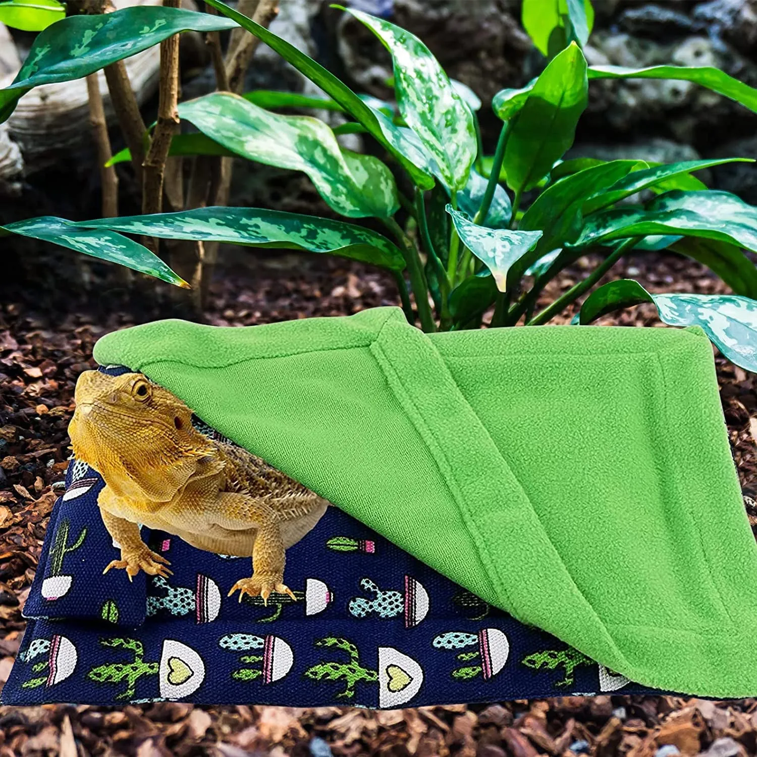 Tanks and Enclosures - Bearded Dragon Sleeping Bag