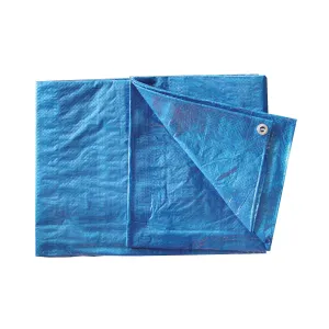 Tear-Resistant Polyethylene Tarp - Blue