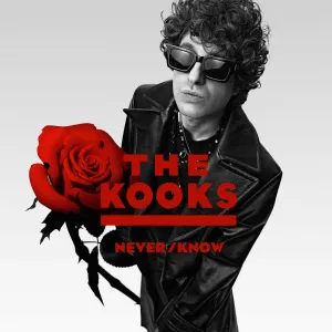 The Kooks - Never/Know [CD]
