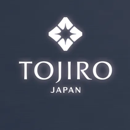 Tojiro DP Bread Knife 21cm 3-Layer (F-828)