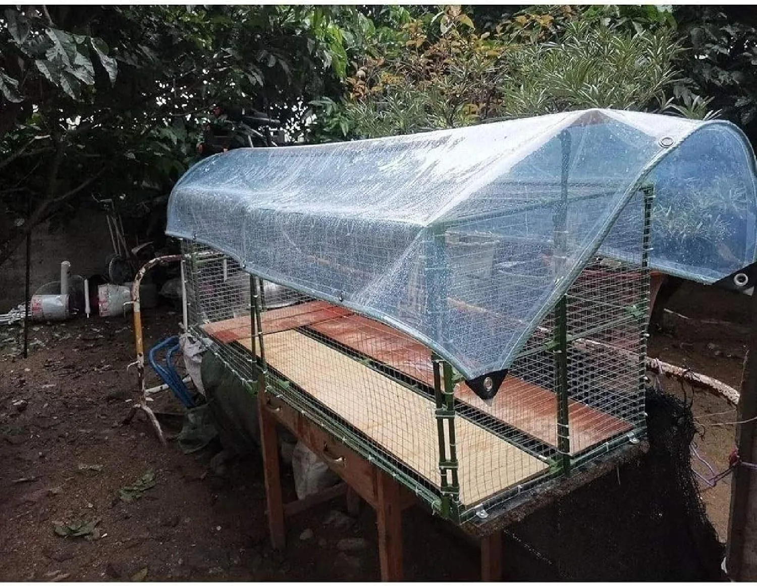 ZHANGQINGXIU Transparent PVC Tarpaulin, Waterproof Tent Cover, 12mil Thickness Tear Resistant Rubber Reinforced Angle Includes Grommets Every 1.6 'on All Sides (Color : Clear, Size : 5x2.3m)